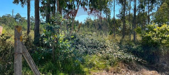 3450m² Land in Povoa de Varzim, Portugal No. 59037 3