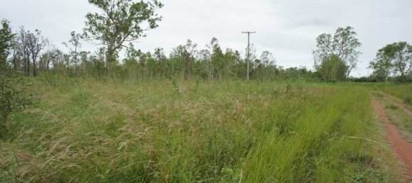 402000m² Land in Black River, Australia No. 1148 5