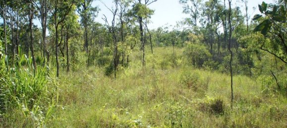 402000m² Land in Black River, Australia No. 1148 6