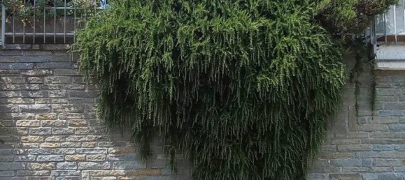 7 rooms House in Bussoleno, Italy No. 153616 15