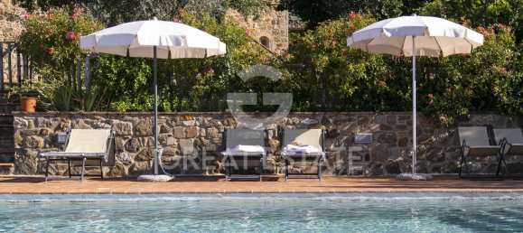 12 bedrooms Hotel in Seggiano, Italy No. 57102 24