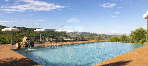 12 bedrooms Hotel in Seggiano, Italy No. 57102 22