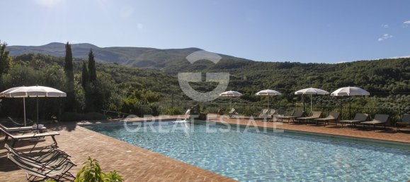 12 bedrooms Hotel in Seggiano, Italy No. 57102 25