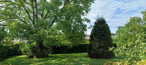 Land in Hard, Austria No. 146352 5