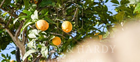 Villa T3 em Lagos, Portugal N.º 27665 11