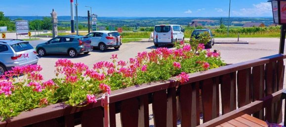 Commercial property in Maissau, Austria No. 24649 23