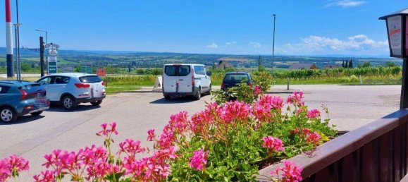 Commercial property in Maissau, Austria No. 24649 22