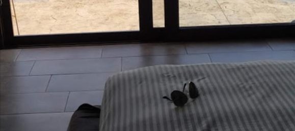 3 bedrooms Villa in Megara, Greece No. 4600 7