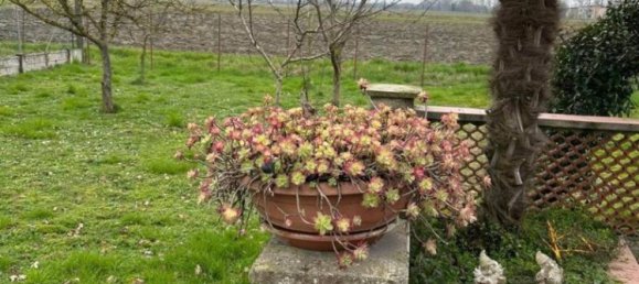 5 rooms House in Luzzara, Italy No. 157669 2