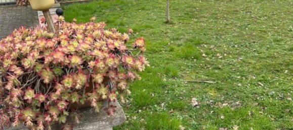 5 rooms House in Luzzara, Italy No. 157669 26