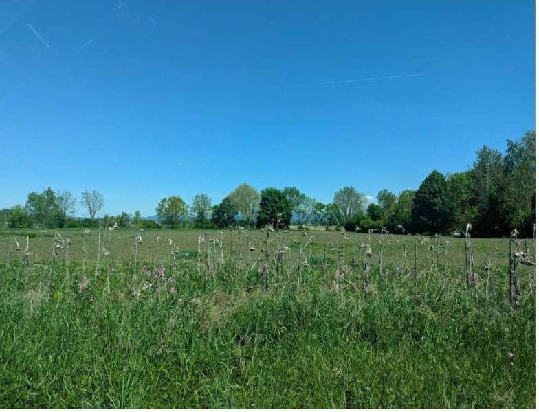 Grundstück in Straubing, Germany, Nr. 273028