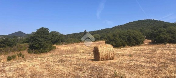 Grundstück in Trevignano Romano, Italy 36000m², Nr. 278067 4