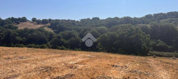 Grundstück in Trevignano Romano, Italy 36000m², Nr. 278067 3