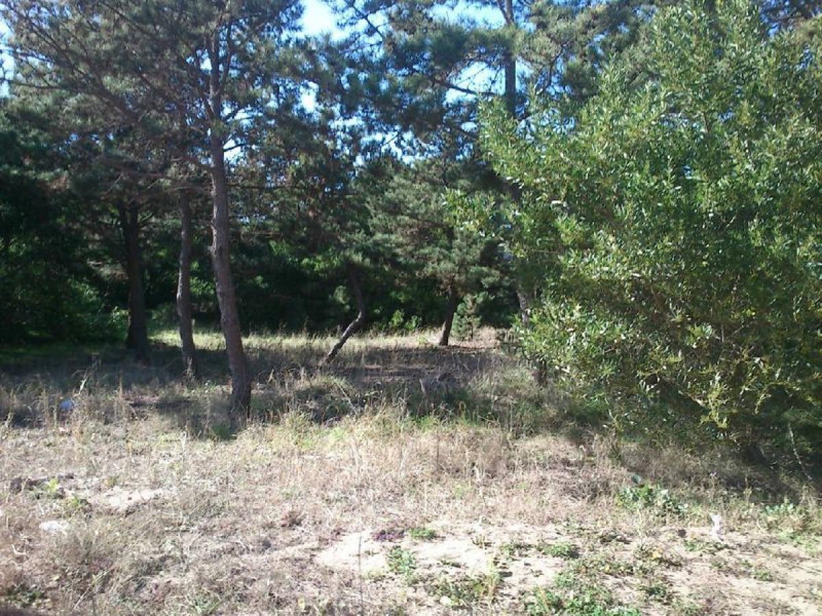  Land in Mar del Plata, Argentina No. 112666