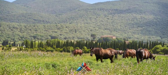 18 rooms House in Grosseto, Italy No. 103337 13