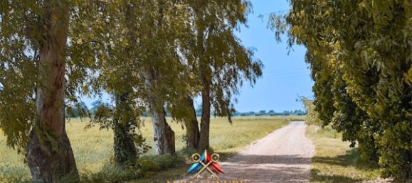 18 rooms House in Grosseto, Italy No. 103337 4