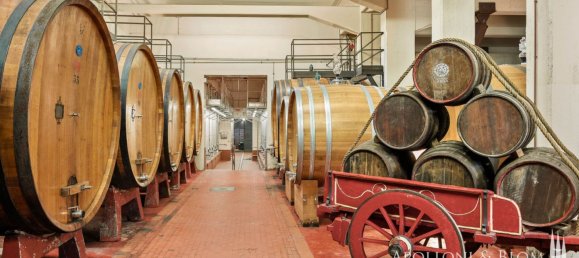 14 bedrooms Villa in Castelnuovo Berardenga, Italy No. 57169 34