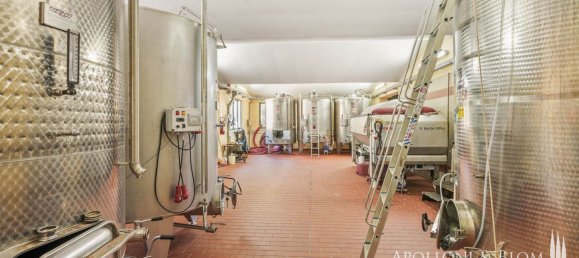 14 bedrooms Villa in Castelnuovo Berardenga, Italy No. 57169 38