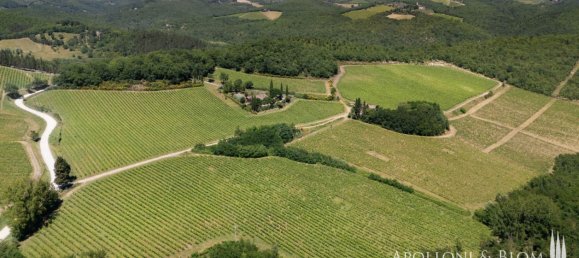 14 bedrooms Villa in Castelnuovo Berardenga, Italy No. 57169 15