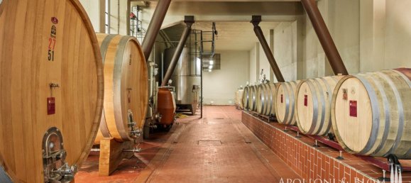 14 bedrooms Villa in Castelnuovo Berardenga, Italy No. 57169 35