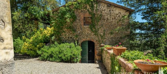 14 bedrooms Villa in Castelnuovo Berardenga, Italy No. 57169 17