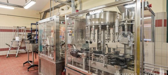 14 bedrooms Villa in Castelnuovo Berardenga, Italy No. 57169 43