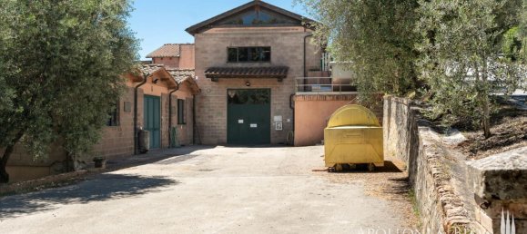 14 bedrooms Villa in Castelnuovo Berardenga, Italy No. 57169 30