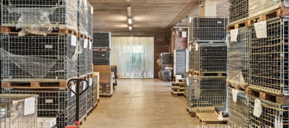 14 bedrooms Villa in Castelnuovo Berardenga, Italy No. 57169 41