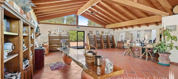 14 bedrooms Villa in Castelnuovo Berardenga, Italy No. 57169 46