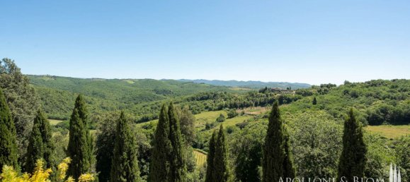 14 bedrooms Villa in Castelnuovo Berardenga, Italy No. 57169 19