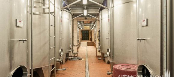 14 bedrooms Villa in Castelnuovo Berardenga, Italy No. 57169 37