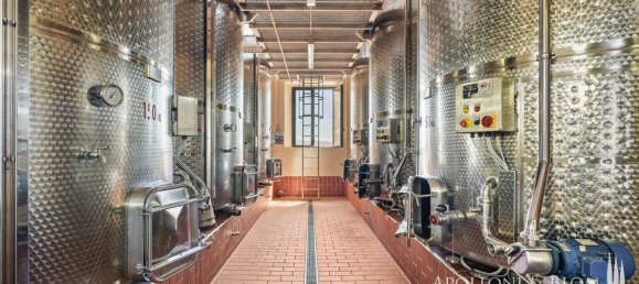 14 bedrooms Villa in Castelnuovo Berardenga, Italy No. 57169 36