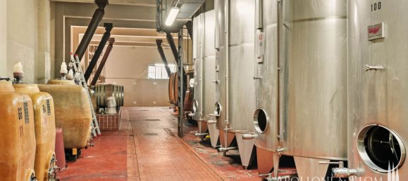 14 bedrooms Villa in Castelnuovo Berardenga, Italy No. 57169 40