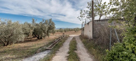  قطعة أرض في Albolote, Spain 3930متر مربع رقم 172990 3