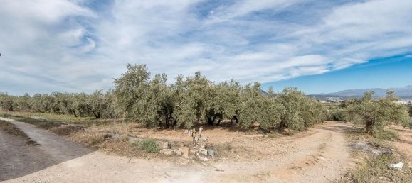  قطعة أرض في Albolote, Spain 3930متر مربع رقم 172990 8