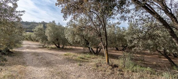  قطعة أرض في Albolote, Spain 3930متر مربع رقم 172990 10