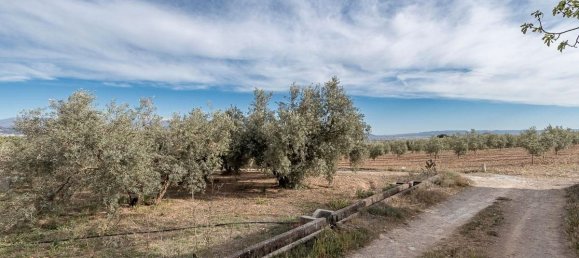  قطعة أرض في Albolote, Spain 3930متر مربع رقم 172990 9