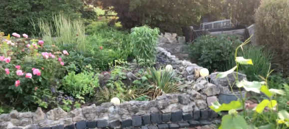 Land in Erfurt, Germany No. 229455 7