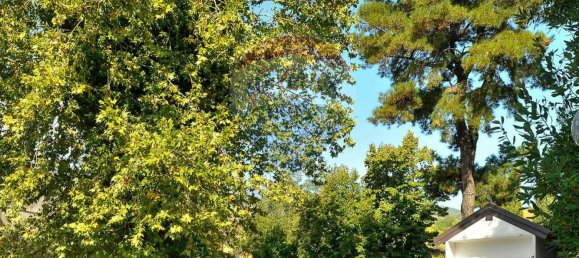 30-salle Bâtiment à Zafferana Etnea, Italy No. 55712 4