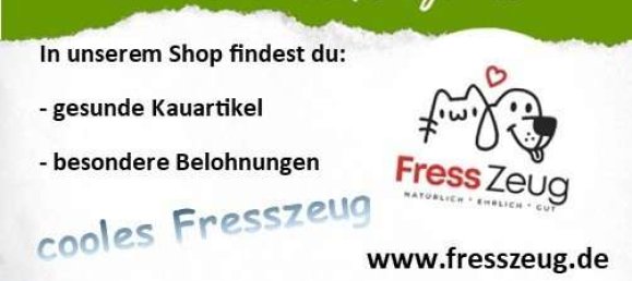 15 rooms Building in Cham, Germany No. 213260 4