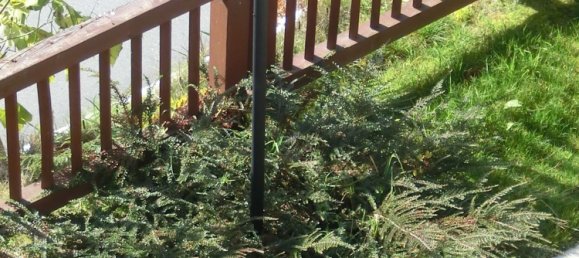 3-Zimmer Wohnung in Aprica, Italy, Nr. 86044 16