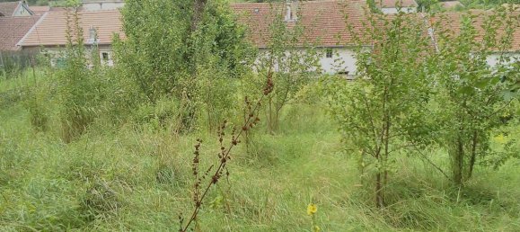 4 bedrooms House in Montiers-sur-Saulx, France No. 264319 2