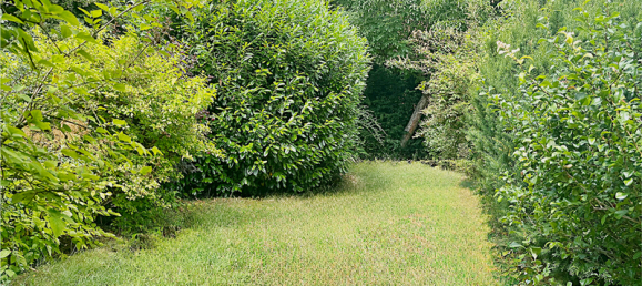 Adosado de 7 habitaciónes en Leipzig, Germany No. 233591 9