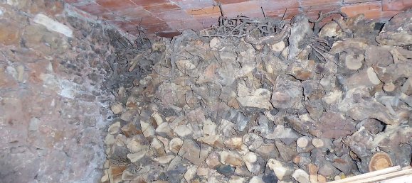 4 bedrooms House in Aguda, Portugal No. 16179 29