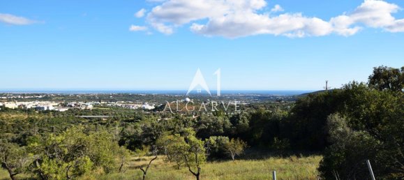 4 bedrooms Land in Loule, Portugal No. 132712 19