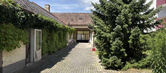 6-Zimmer Haus in Baden, Austria, Nr. 217610 11