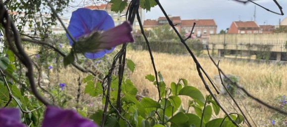 2000m² Land in Lisbon, Portugal No. 92548 8