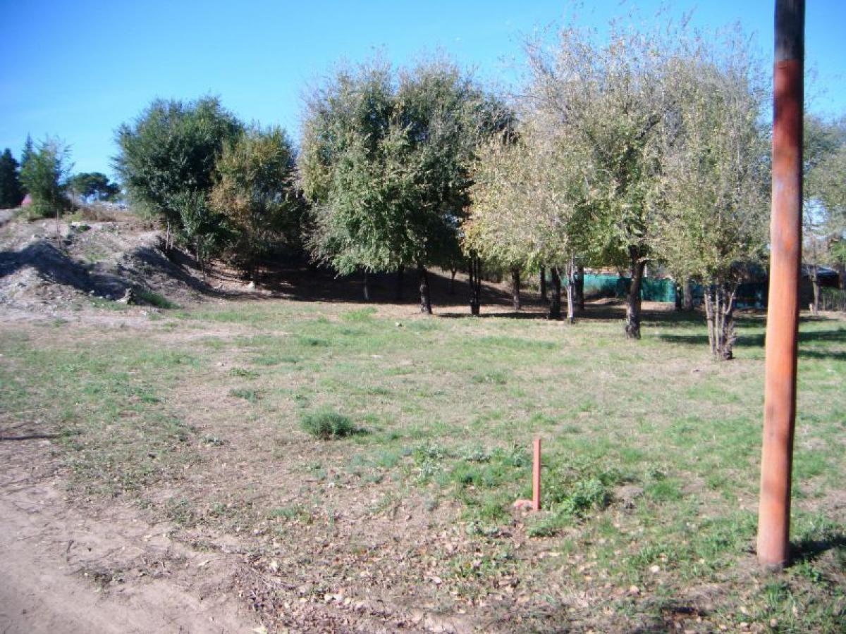  Land in Cordoba, Argentina No. 41614