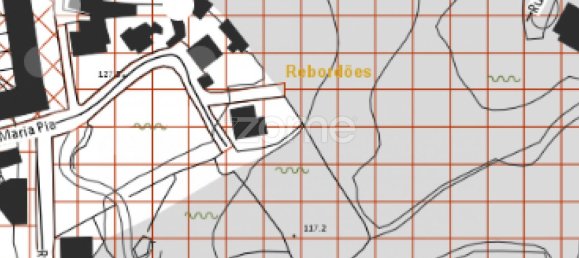 Grundstück in Rebordoes, Portugal 5721m², Nr. 84197 2