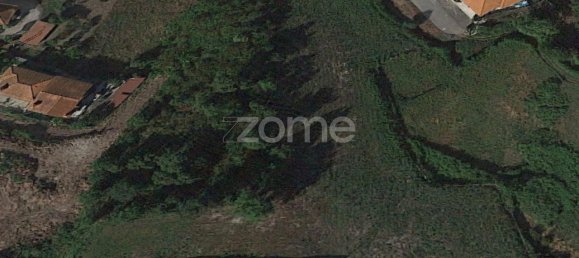 Grundstück in Rebordoes, Portugal 5721m², Nr. 84197 18